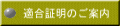  S-Web Site Guidance mjulivz  