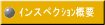 ｲンスペクｼｮﾝ概要