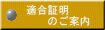  S -Web Site guidance mjulivz 