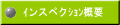 ｲンスペクｼｮﾝ概要