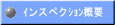 ｲンスペクｼｮﾝ概要